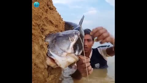 Small fish catch big monster fish that live underground.