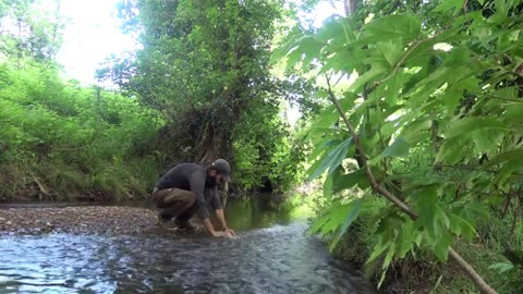 Creek Fishing - Catch and Cook