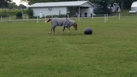 I got the moves on this ball