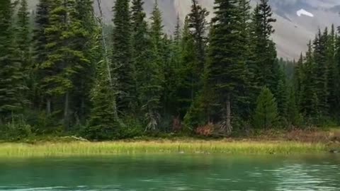 Crowfoot Glacier in Banff National Park.