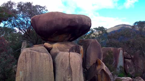 The Natural Balance, Tidbinbilla, Australia.