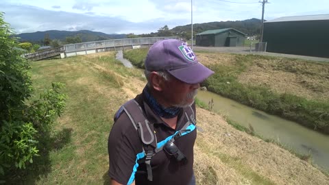 Routine Walk: Black Creek, Wainuiomata, New Zealand.