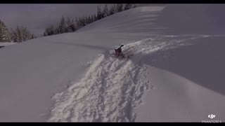 Dog/Puppy playing in the Fresh Snow