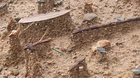 Rain Creates Tiny Canyon-Like Formations in Backyard