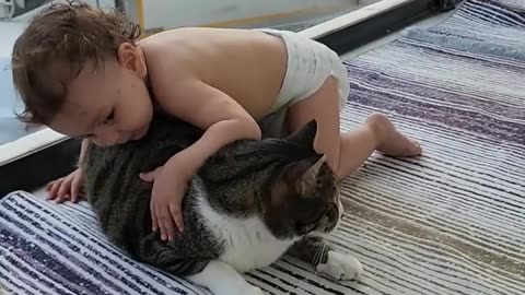 Tiny baby excited and happy to hug giant cats.