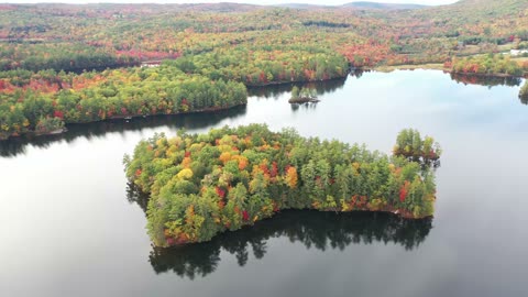 CHANGING COLORS OF THE TREE LEAVES IN THE AUTUMN