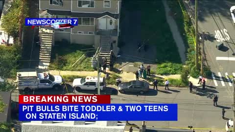 2 teens, toddler attacked by pit bulls on Staten Island