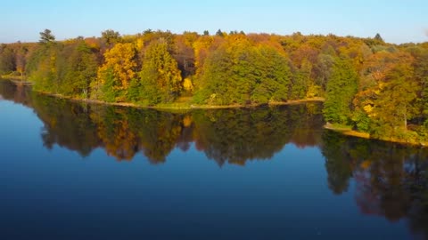 Enchanting Autumn Forests with Beautiful Piano Music