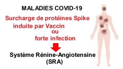 SRA et Maladies Covid-19 (Jean Marc Sabatier)