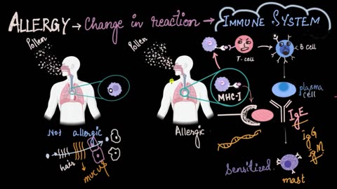 Allergies (what causes them?) | Human health & diseases | Biology |