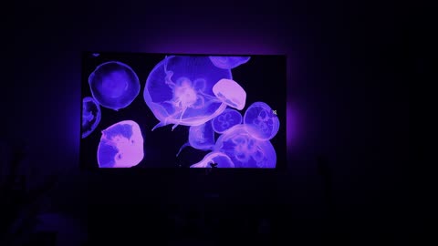 Ambilight on rooted LG WebOS tv using PiCap and HyperHDR