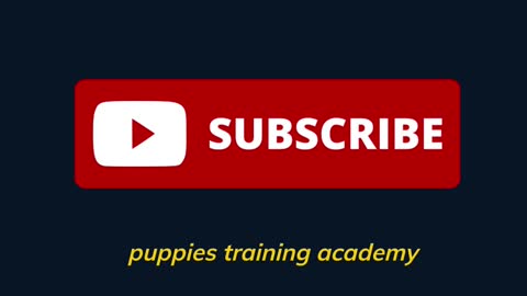 Basic dog training