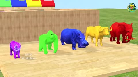 Wildlife Adventure: The Long Slide Game with Elephant, Gorilla, Buffalo, Hippopotamus, and Tiger!"