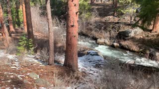 Wilderness Exploring – Whychus Creek – Central Oregon