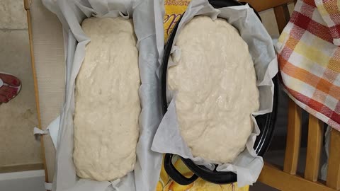 Rising dough for bread