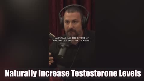 Naturally Increase Testosterone Levels