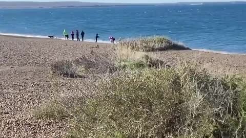 In Puerto Madryn's El Doradillo, They Scream At You As You Arrive