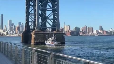 Protesters hang Palestinian flag atop Williamsburg Bridge in NYC