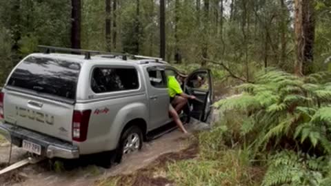 Day 3 of 10 Days of Rain, Sunshine Coast, Qld, Australia.