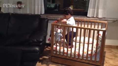 Funny Babies scaping cribs