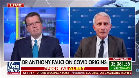 Fauci Sorry To Annoy Trump Supporters - I Never Regret About Telling Truth