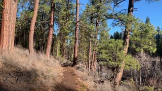 Proper Attire for Winter Hiking – Metolius River – Central Oregon