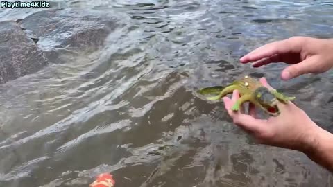 Sea Animal Toys This Summer at the Shore🐬🦞🦐🦑🐙