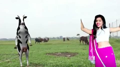 Fanny COW dance 😀🤪 |fanny dance 😆 Rabiul media.#shorts