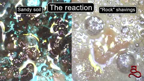 Reaction Comparison