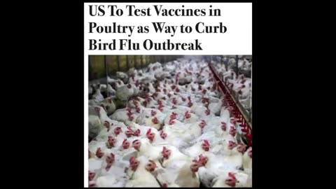 BIRD FLU VACCINE MRNA