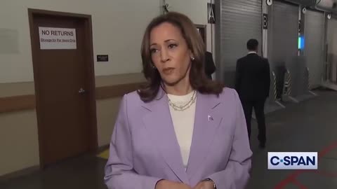 Kamala Harris says there are ‘too many’ civilian deaths in Gaza after IDF strike on school building