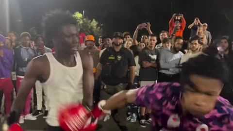 🥊 Street Fighter vs. Boxer: An Epic Showdown! 🌟