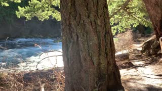 White Water Rapids of Metolius River – Central Oregon