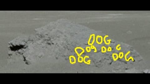 Moon Hoax -Word 'Dog' Written on Disney Dog Rock in Nevada Fake Moon Bay