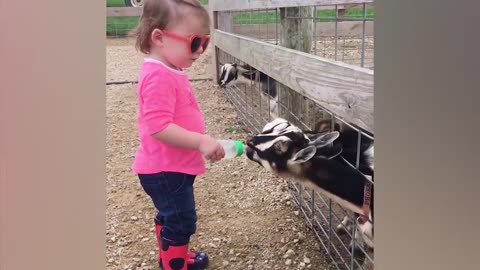 Funny Animal And Baby At The Zoo that Melt your Heart