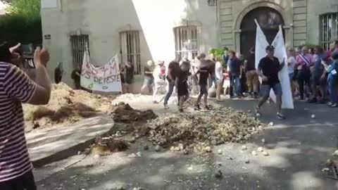 French farmers unload manure, stones, onions and apples at the prefecture entrance