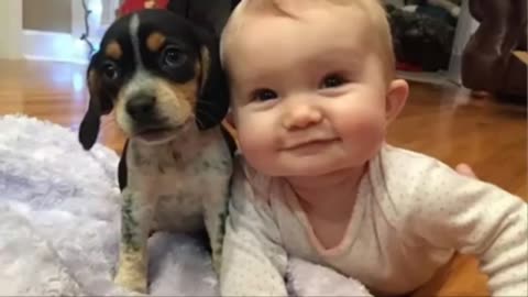 Cute Puppies and Babies Playing Together Compilation 2019 #4