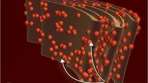 Structure of Ribosomes (3D animated)