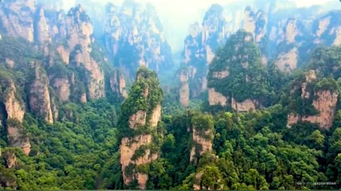 Zhangzhaizhen National Forest Park - A Sight to Behold