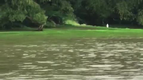 Unknown Green Liquid Draining into River