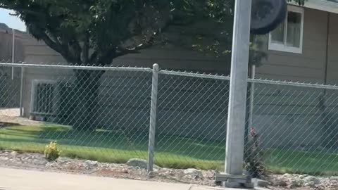 Wheel Falls Off Moving Truck