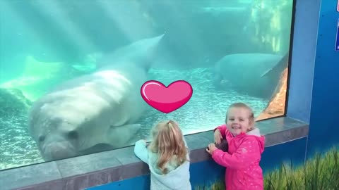 Cute interactions between kids and animal.