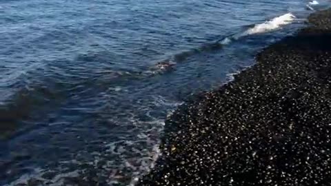 Waves Lapping on Beach Loop