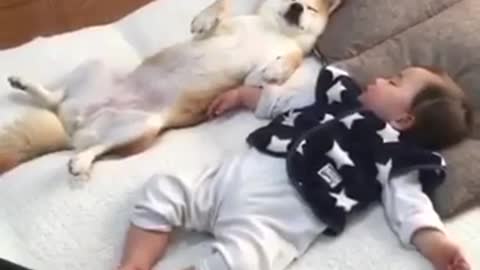 Cute puppy sleeping beside adorabl baby