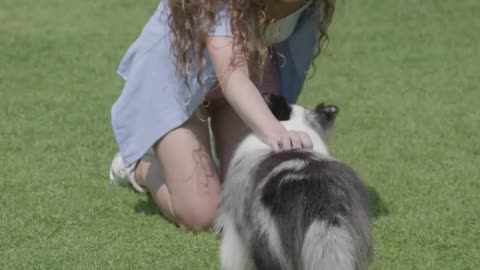 Cute Dog Training #shorts