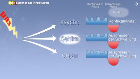 Die 5 Biologischen Naturgesetze - Die Dokumentation