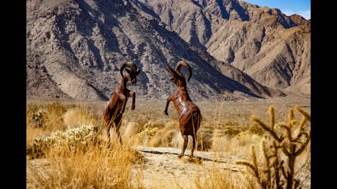 Sculptures of Borrego Springs