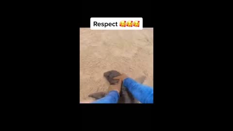 Respect Moment: He saved a seal!