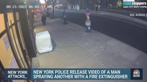 Security Video Shows Man Spraying Another With Fire Extinguisher In Brooklyn