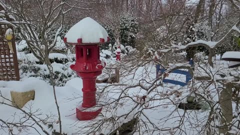 Japanese Garden in Snow: A Peaceful Moment on Our Planet